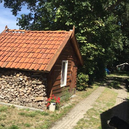 Landelijk Gelegen Huisje Op Erf Veeningen Exterior photo