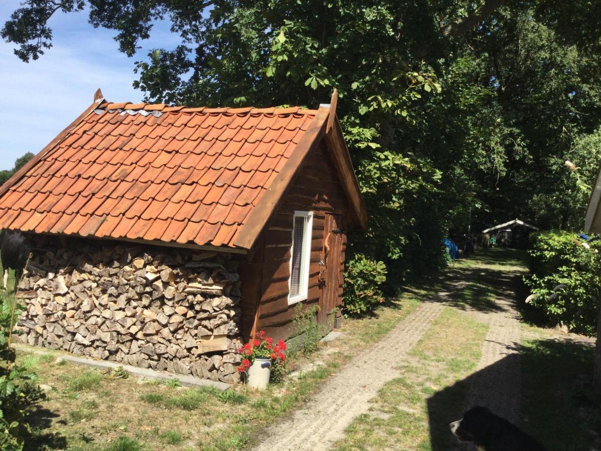 Landelijk Gelegen Huisje Op Erf Veeningen Exterior photo